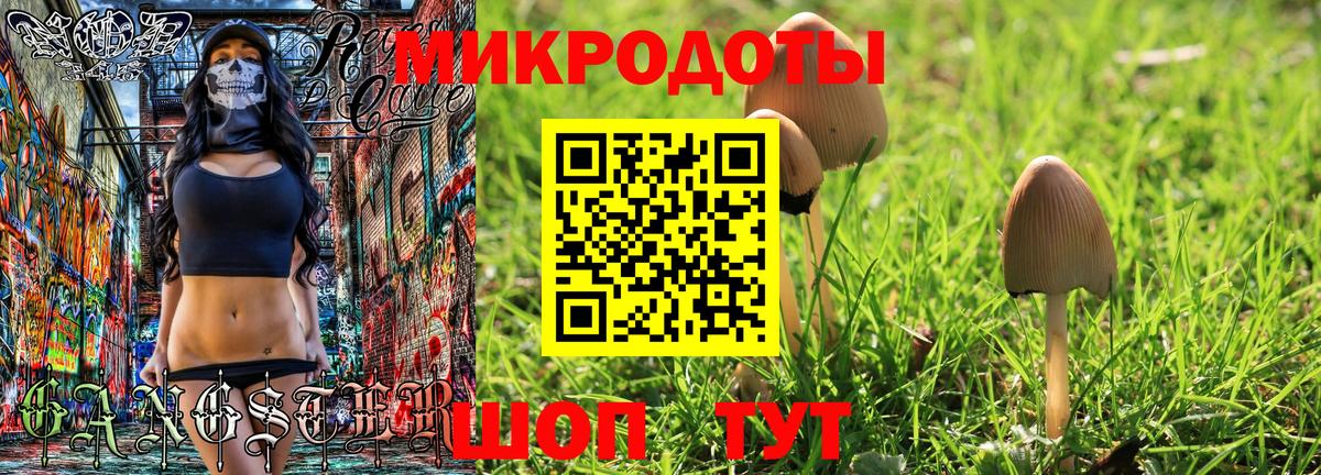 Майский  Галлюциногенные грибы Psilocybe  Вход с VPN  Псилоцибиновые грибы Cubensis 